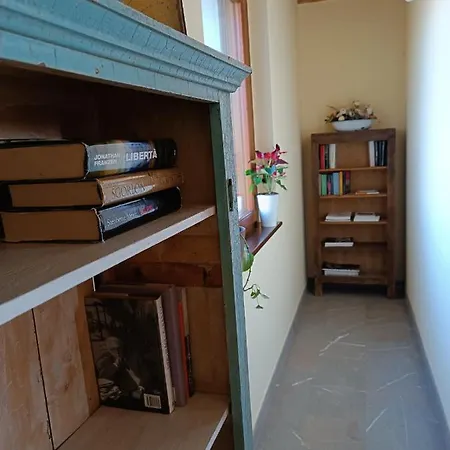 Feriegård Casal Micelio