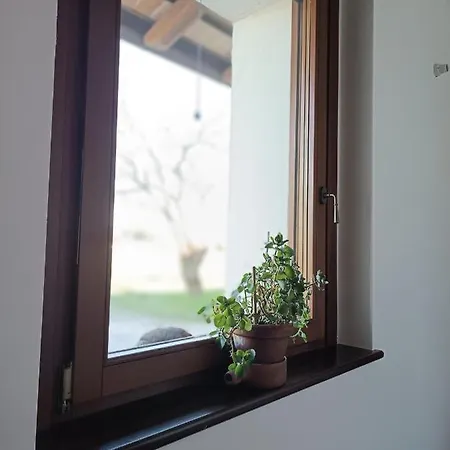 Casal Micelio * Udine