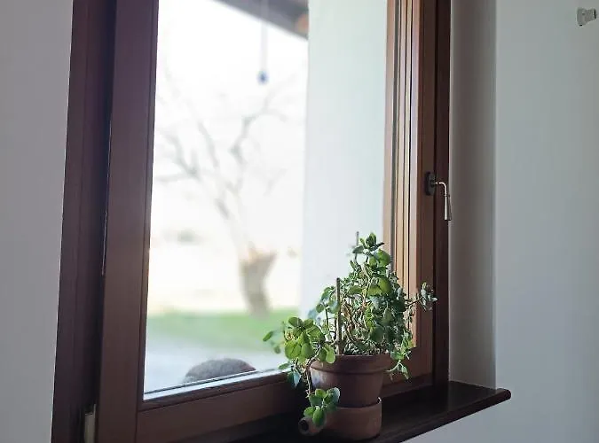 Casal Micelio * Udine