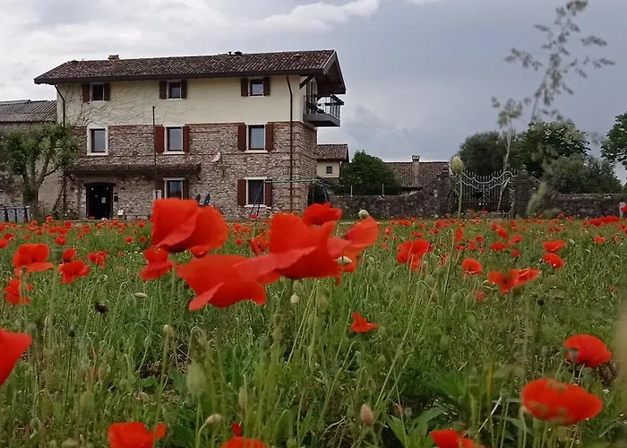 Casal Micelio Farmház *
